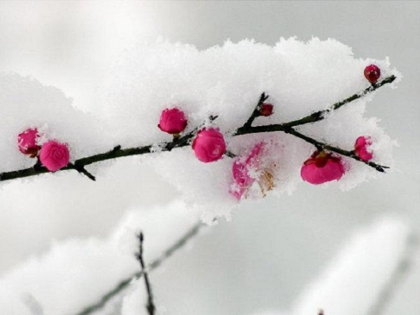 冬天下雪的朋友圈伤感说说短句 自己一个人好冷的说说