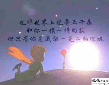小王子精辟的经典语录带图片 最经典的语录说说大全6