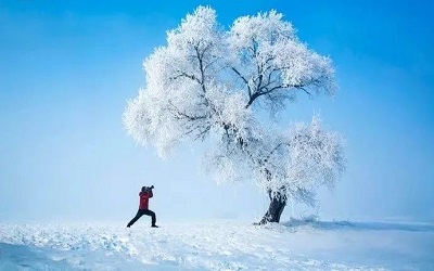 下雪后的心情图片说说 朋友圈发下雪后的美景图片13