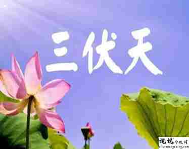 2021入伏超级燥热的说说带图片 入伏天气闷热让人难受的句子5
