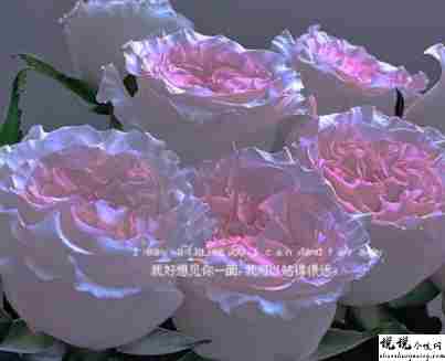 表达自己很爱操心的句子 想发个生活感慨的说说1