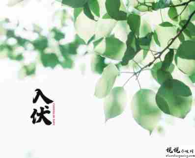 今日出伏的心情说说 2021出伏的心情短句2