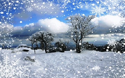 下雪后的心情图片说说 朋友圈发下雪后的美景图片6