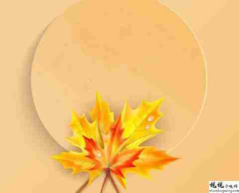 秋季关于欣赏枫叶的心情说说 描写秋季枫叶优美的句子2