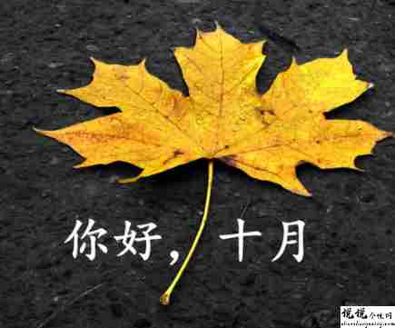 九月再见十月你好唯美句子 2021十月你好唯美励志语录1