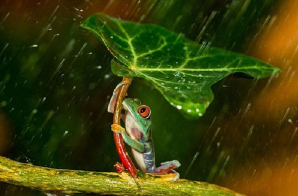 下雨的图片说说大全 下雨天感慨说说心情配图片7