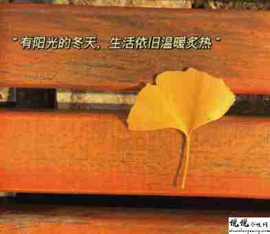 很温暖的友谊说说带图片 我会遇到很多有趣的人但我不会落下你15