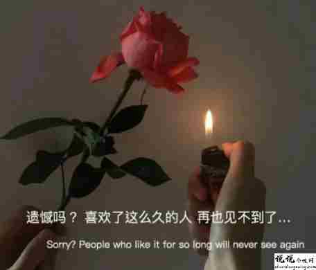 最美丧句带图片 凭什么后来者居上1