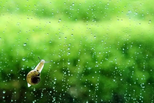 下雨的图片说说大全 下雨天感慨说说心情配图片8