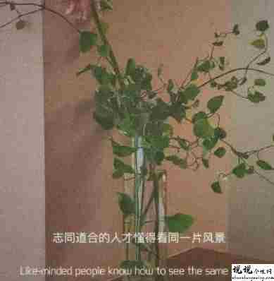 关于失望至极的说说 超级的失望又很难过的语录1