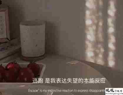 没有和自己喜欢的在一起的遗憾说说 两个人没有走到一块的难过句子1