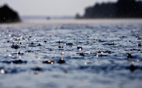 适合下雨天发的唯美诗句 表达下雨天心情的诗句,独一无二