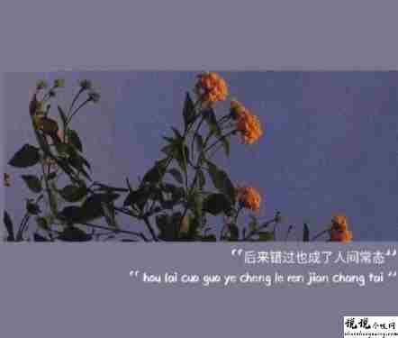 2022春节发的超级暖心的文案带图片 很精辟的暖心句子合集11