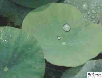 抖音上最火的下雨说说让人点赞 雨天幽默又很正能量的句子1