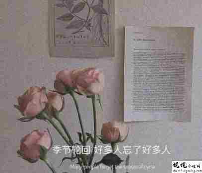 遗憾无法弥补的伤感语录 关于遗憾的心酸句子1