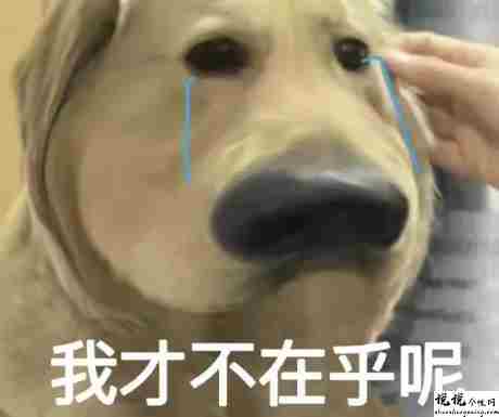 官宣分手又复合的搞笑说说 超级搞笑的分手又复合文案13