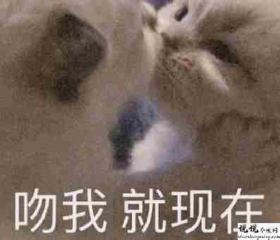 最近很火的内卷段子文案带图片 关于内卷的搞笑语录5