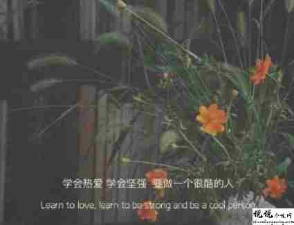 生活落的一地鸡毛的文案 生活过的不好的文案2