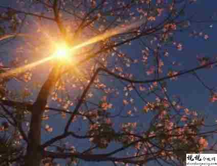 除夕夜表白的说说发朋友圈 2022除夕夜很感人的表白文案2