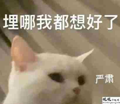 最近很火的内卷段子文案带图片 关于内卷的搞笑语录4