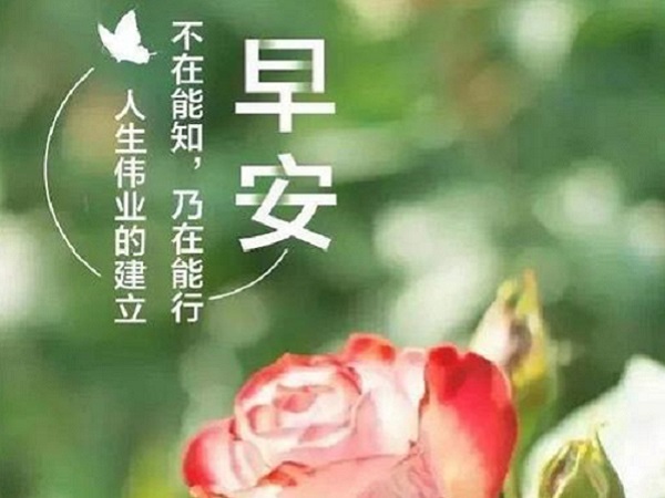 微信早安励志短句子 早上问候朋友圈的经典语句