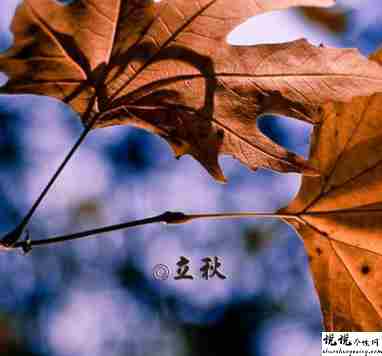 2021立秋早安经典说说 立秋节气节气经典祝福语2