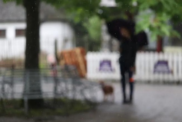 下雨的图片说说大全 下雨天感慨说说心情配图片2