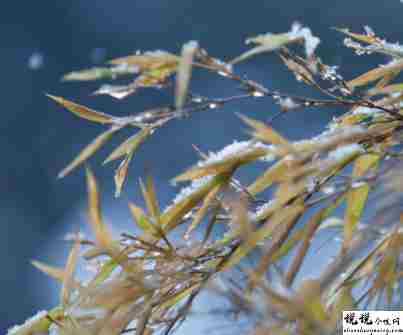 小雪节气发朋友圈的句子 2021小雪节气的暖心朋友圈