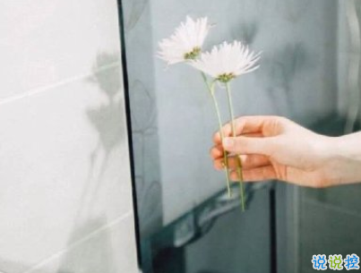 520情人节甜句子带图片 520最暖心情话20219